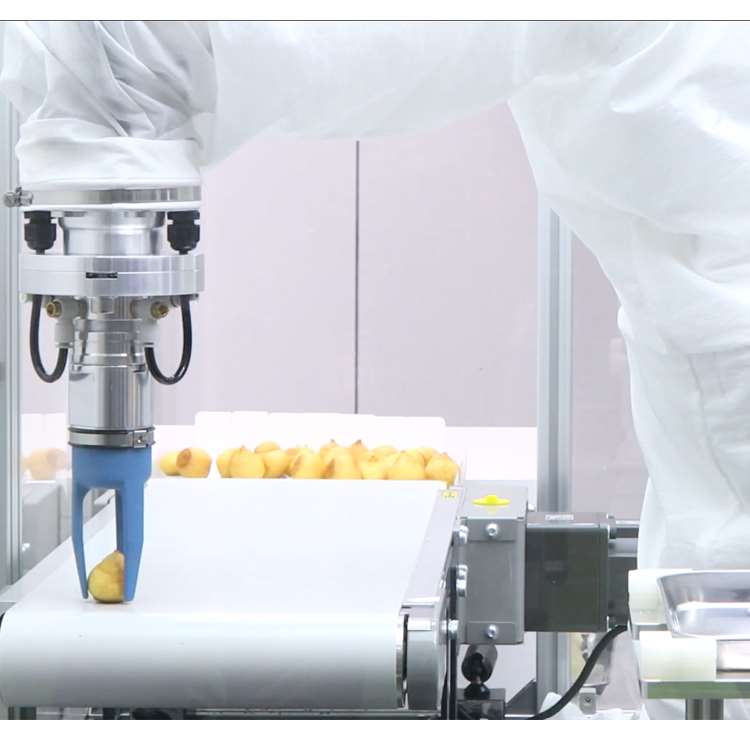 6 Eksenli CNC Robotik Kol, Lin - Linear Rail incelemesi ve fiyatı